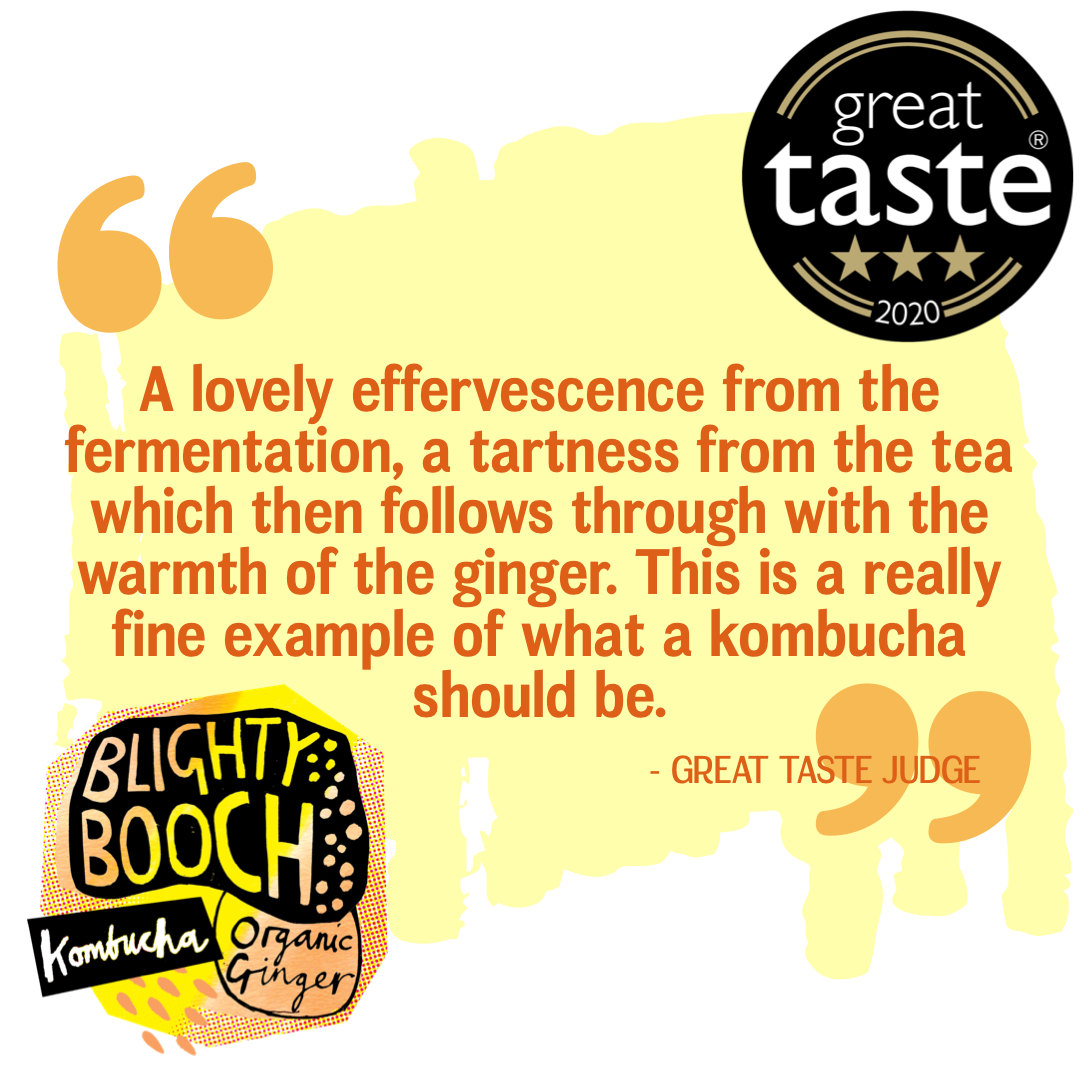 Blighty Booch Organic Ginger Kombucha – Case Pack