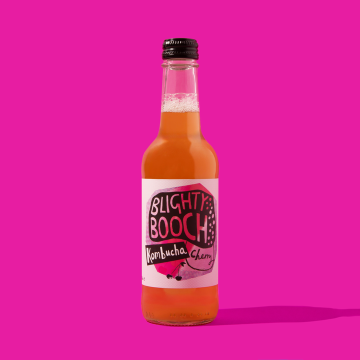 Blighty Booch Kombucha – Mixed Case Pack