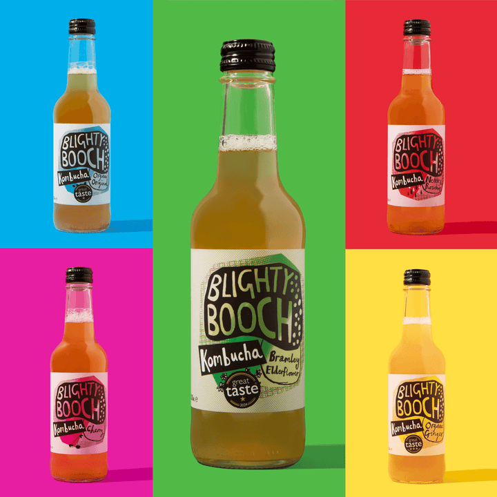 Blighty Booch Kombucha – Mixed Case Pack