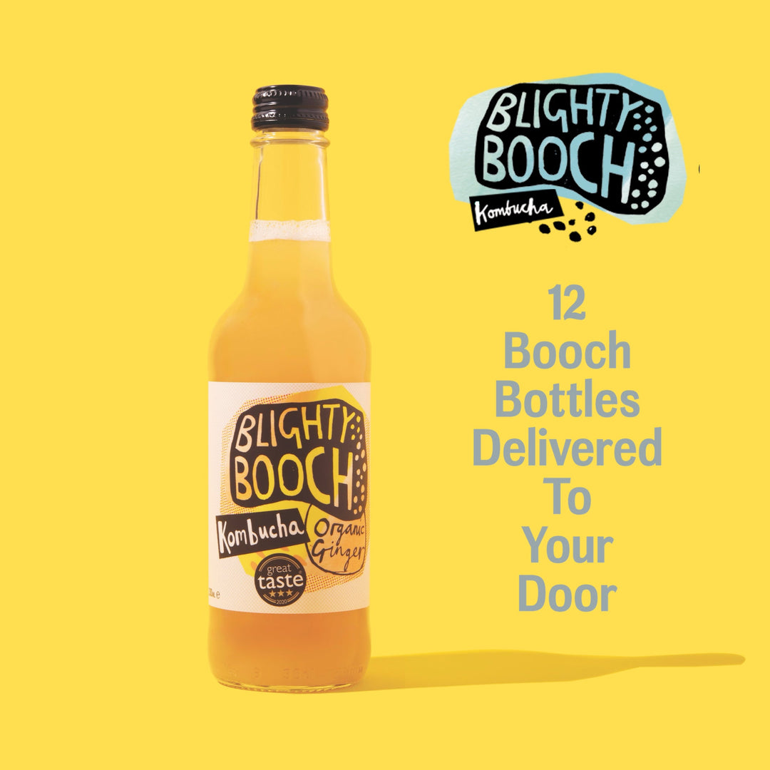 Blighty Booch Organic Ginger Kombucha – Case Pack