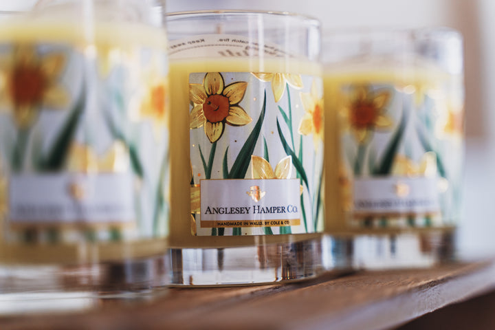 Amber & Mandarin Cole & Co Candle | Anglesey Hamper Co.