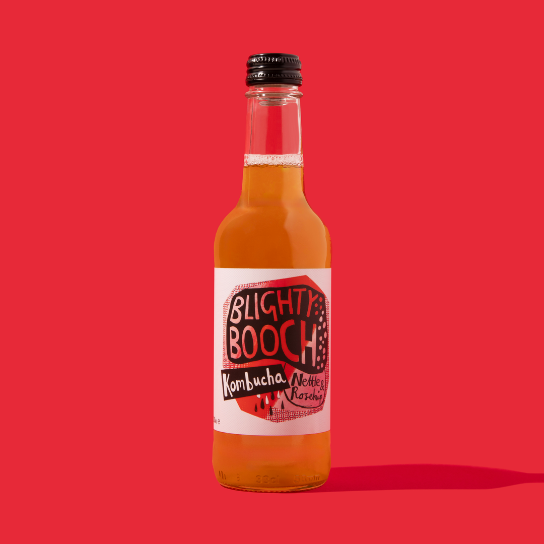Blighty Booch Kombucha – Mixed Case Pack