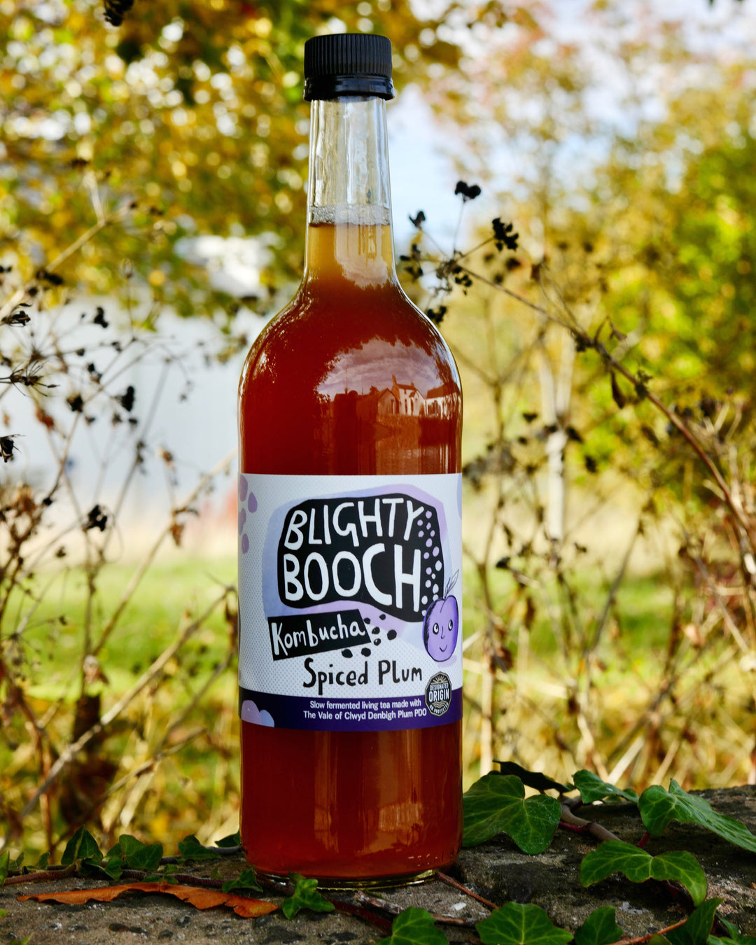Blighty Booch Spice Plum Limited Edition