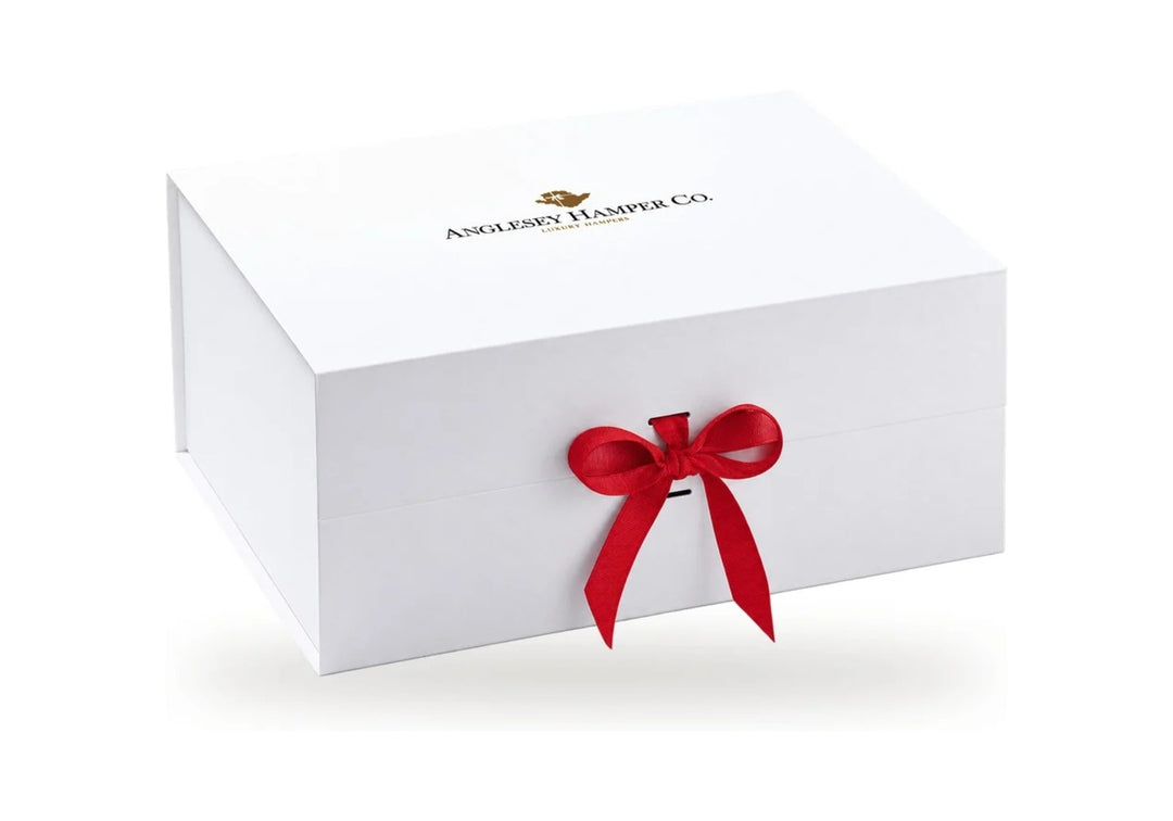 Large Christmas gift box with red ribbon