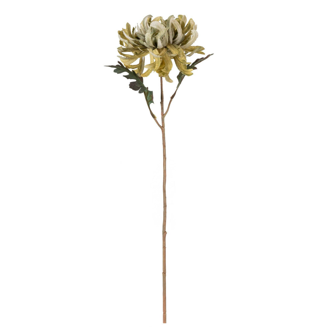 50cm Chrysanthemum - Olive 10PK