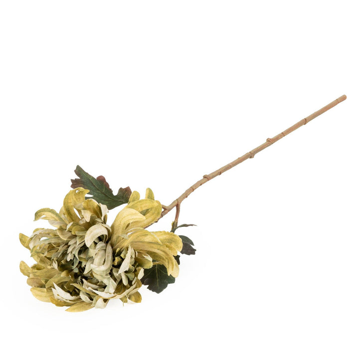 50cm Chrysanthemum - Olive 10PK